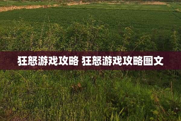 狂怒游戏攻略 狂怒游戏攻略图文