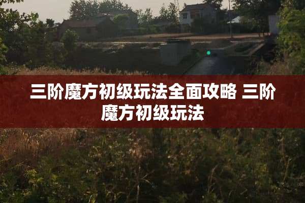 三阶魔方初级玩法全面攻略 三阶魔方初级玩法