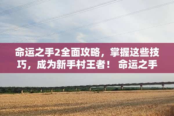 命运之手2全面攻略，掌握这些技巧，成为新手村王者！ 命运之手2攻略