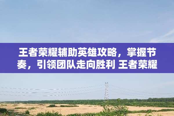 王者荣耀辅助英雄攻略，掌握节奏，引领团队走向胜利 王者荣耀辅助的玩法