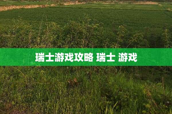 瑞士游戏攻略 瑞士 游戏