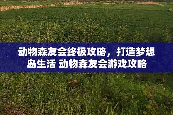 动物森友会终极攻略，打造梦想岛生活 动物森友会游戏攻略