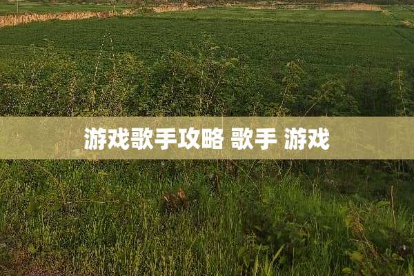 游戏歌手攻略 歌手 游戏
