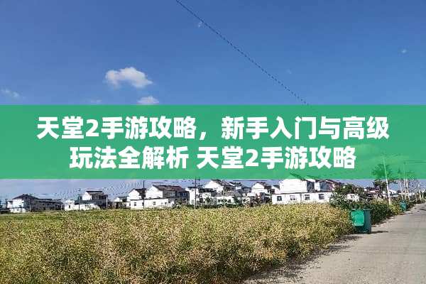 天堂2手游攻略，新手入门与高级玩法全解析 天堂2手游攻略