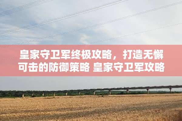 皇家守卫军终极攻略，打造无懈可击的防御策略 皇家守卫军攻略