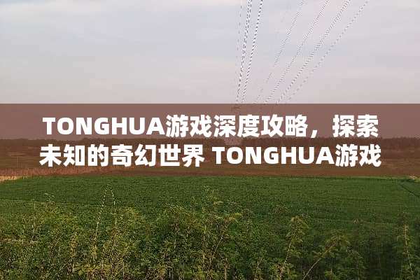 TONGHUA游戏深度攻略，探索未知的奇幻世界 TONGHUA游戏攻略