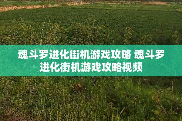 魂斗罗进化街机游戏攻略 魂斗罗进化街机游戏攻略视频