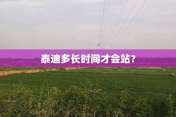 泰迪多长时间才会站？