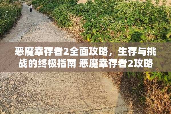 恶魔幸存者2全面攻略，生存与挑战的终极指南 恶魔幸存者2攻略