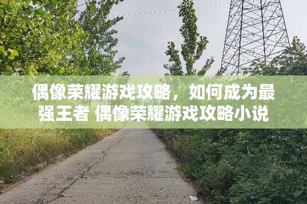 偶像荣耀游戏攻略，如何成为最强王者 偶像荣耀游戏攻略小说