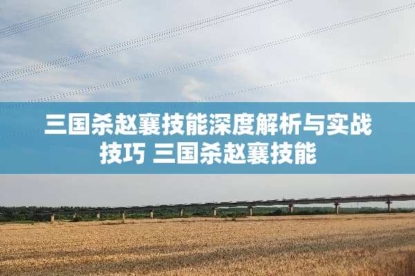三国杀赵襄技能深度解析与实战技巧 三国杀赵襄技能
