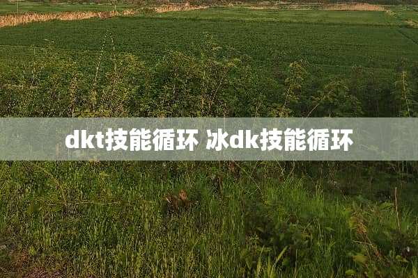 dkt技能循环 冰dk技能循环