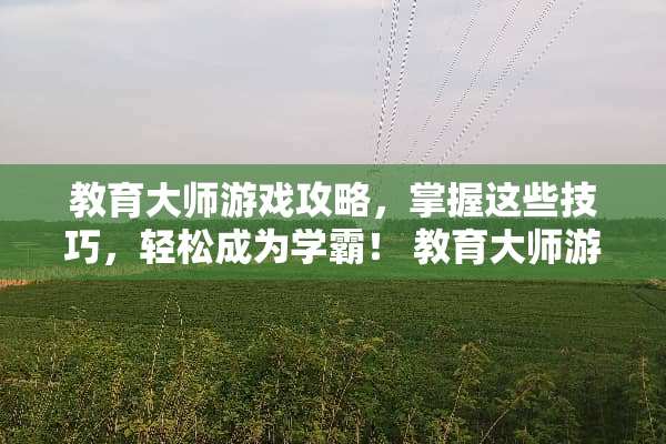 教育大师游戏攻略，掌握这些技巧，轻松成为学霸！ 教育大师游戏攻略教程