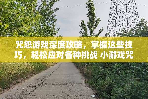 咒怨游戏深度攻略，掌握这些技巧，轻松应对各种挑战 小游戏咒怨攻略