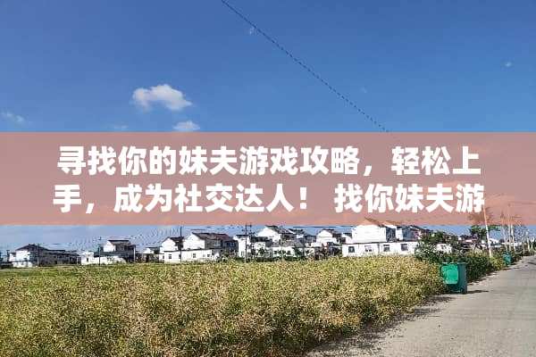 寻找你的妹夫游戏攻略，轻松上手，成为社交达人！ 找你妹夫游戏攻略