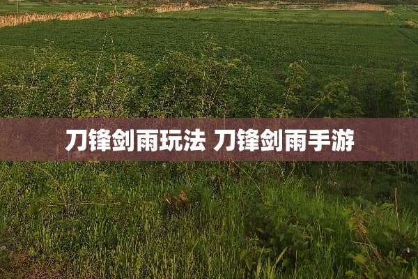 刀锋剑雨玩法 刀锋剑雨手游