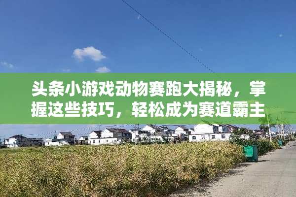 头条小游戏动物赛跑大揭秘，掌握这些技巧，轻松成为赛道霸主！ 头条小游戏动物赛跑攻略