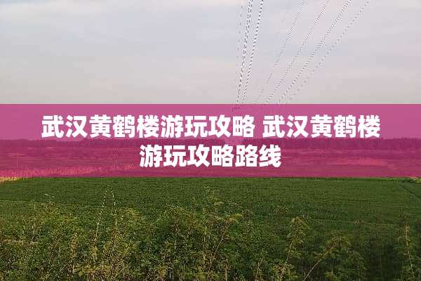 武汉黄鹤楼游玩攻略 武汉黄鹤楼游玩攻略路线