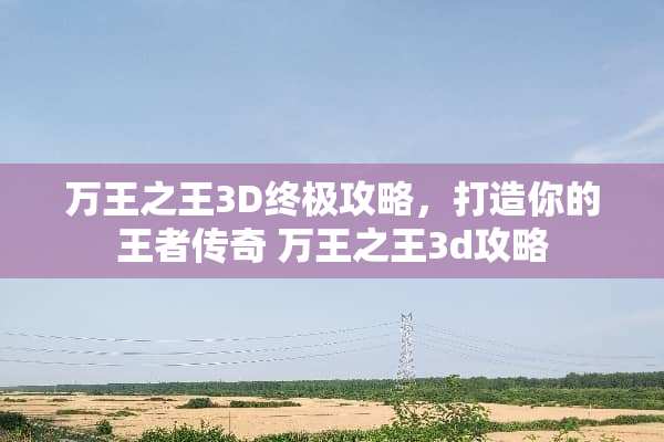 万王之王3D终极攻略，打造你的王者传奇 万王之王3d攻略