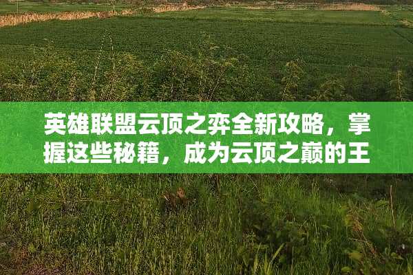 英雄联盟云顶之弈全新攻略，掌握这些秘籍，成为云顶之巅的王者 lol云顶之奕攻略