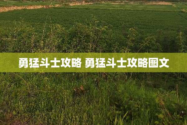 勇猛斗士攻略 勇猛斗士攻略图文