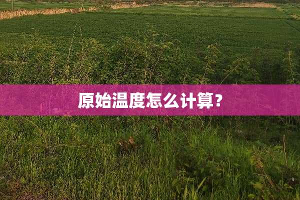 原始温度怎么计算？