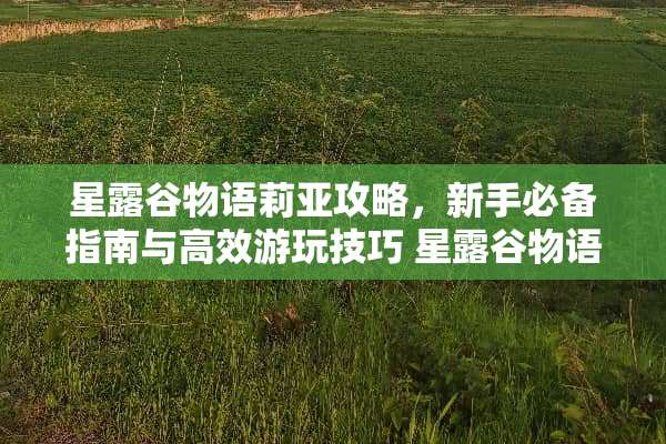 星露谷物语莉亚攻略，新手必备指南与高效游玩技巧 星露谷物语莉亚攻略