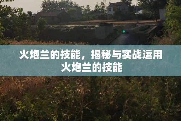火*兰的技能，揭秘与实战运用 火*兰的技能