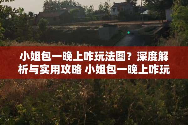 小姐包一晚上咋玩法图？深度解析与实用攻略 小姐包一晚上咋玩法图