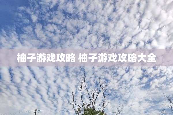 柚子游戏攻略 柚子游戏攻略大全