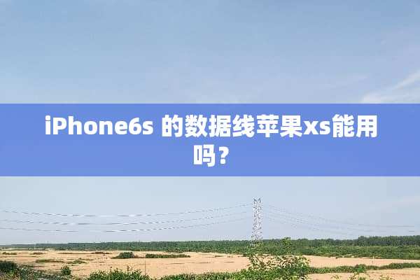 iPhone6s 的数据线苹果xs能用吗？