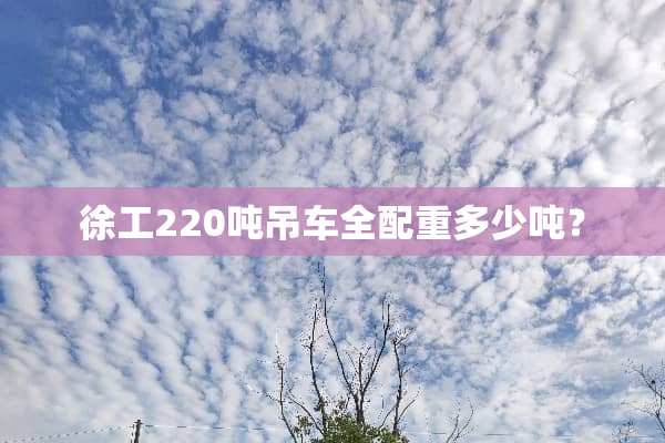 徐工220吨吊车全配重多少吨？