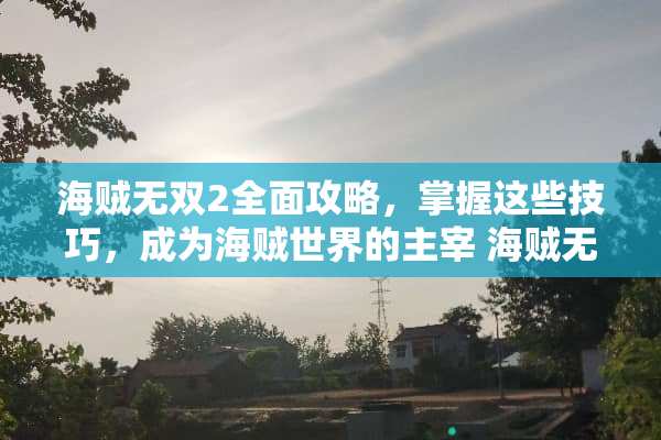海贼无双2全面攻略，掌握这些技巧，成为海贼世界的主宰 海贼无双2攻略