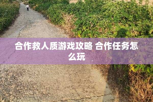 合作救人质游戏攻略 合作任务怎么玩