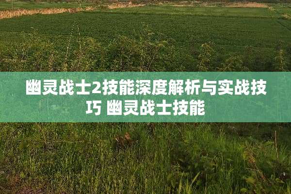 幽灵战士2技能深度解析与实战技巧 幽灵战士技能