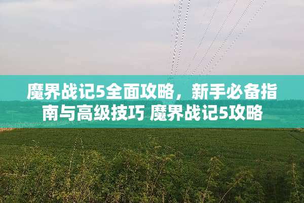 魔界战记5全面攻略，新手必备指南与高级技巧 魔界战记5攻略