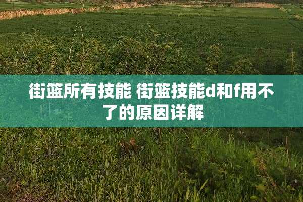 街篮所有技能 街篮技能d和f用不了的原因详解