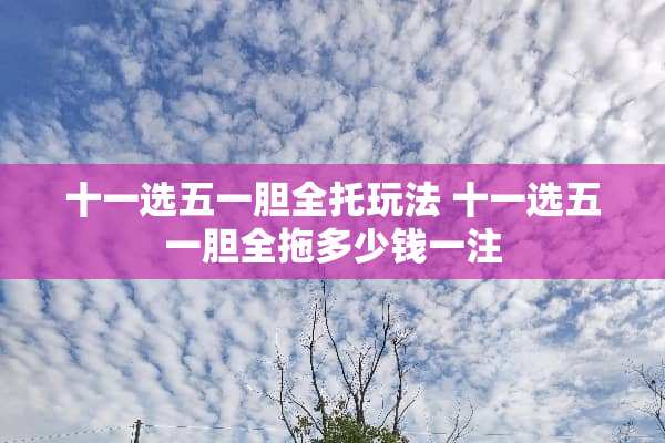 十一选五一胆全托玩法 十一选五一胆全拖多少钱一注