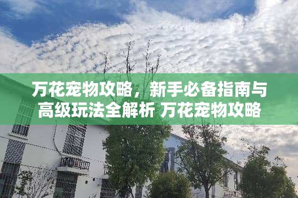 万花宠物攻略，新手必备指南与高级玩法全解析 万花宠物攻略