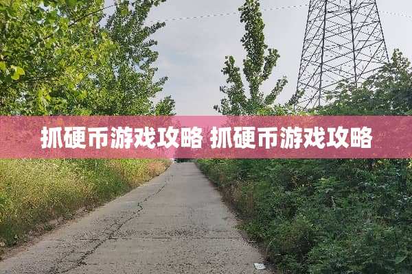 抓**游戏攻略 抓**游戏攻略