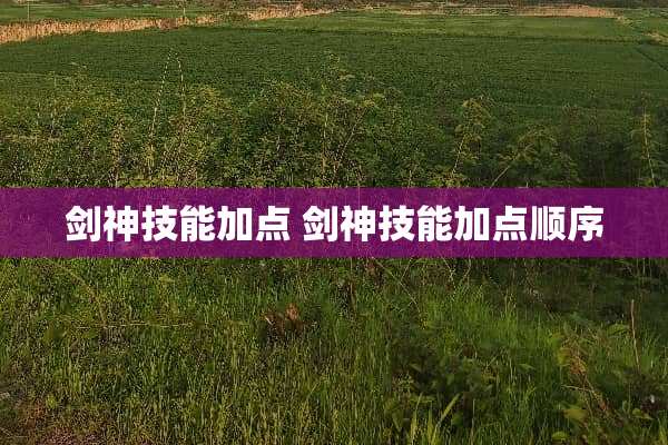 剑神技能加点 剑神技能加点顺序