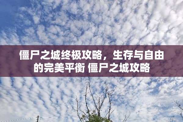 僵尸之城终极攻略，生存与自由的完美平衡 僵尸之城攻略