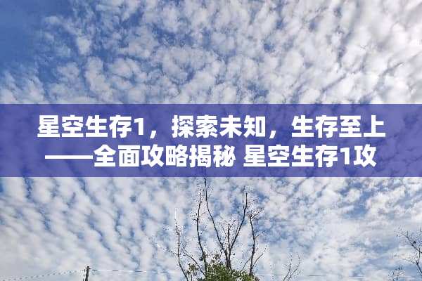 星空生存1，探索未知，生存至上——全面攻略揭秘 星空生存1攻略游戏