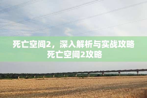 死亡空间2，深入解析与实战攻略 死亡空间2攻略