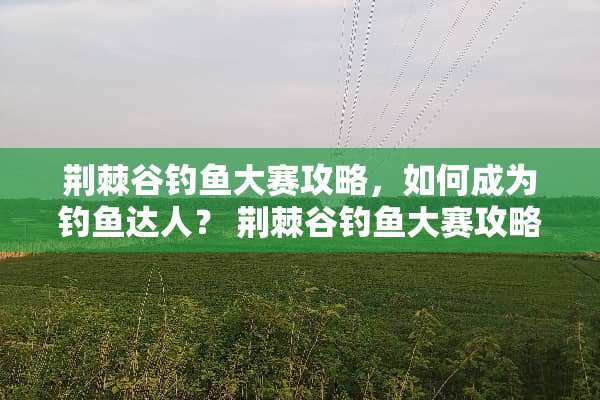 荆棘谷钓鱼大赛攻略，如何成为钓鱼达人？ 荆棘谷钓鱼大赛攻略
