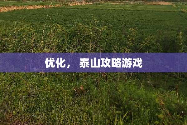 优化， 泰山攻略游戏