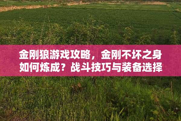 金刚狼游戏攻略，金刚不坏之身如何炼成？战斗技巧与装备选择全解析 金刚狼游戏攻略