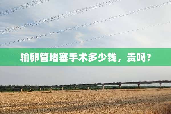 输卵管堵塞手术多少钱，贵吗？