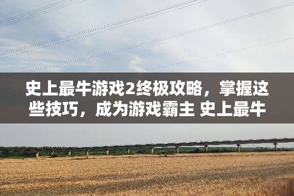 史上最牛游戏2终极攻略，掌握这些技巧，成为游戏霸主 史上最牛游戏2攻略