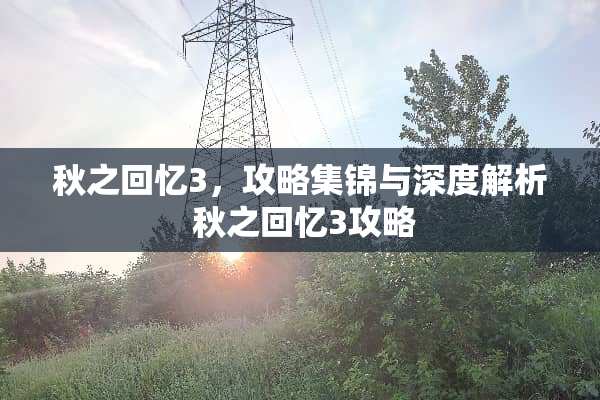 秋之回忆3，攻略集锦与深度解析 秋之回忆3攻略